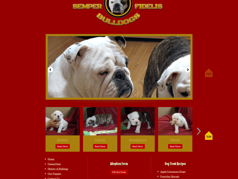 Web Design - Semper Fidelis Bulldogs