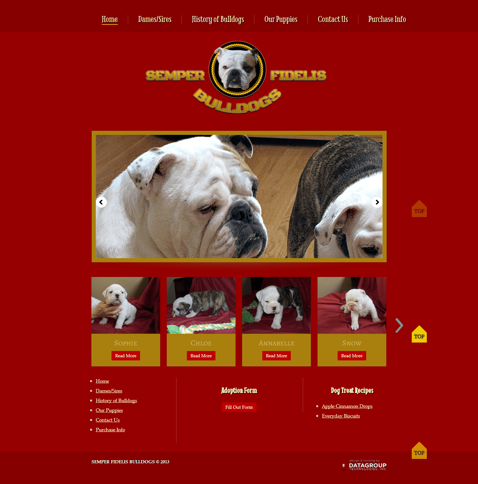Web Design - Semper Fidelis Bulldogs