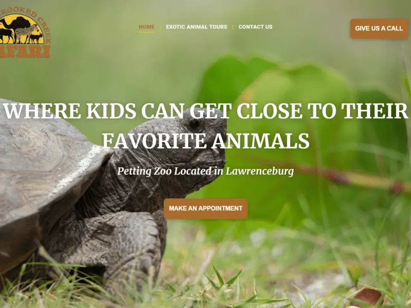 Web Design - Little Crooked Creek Safari thumbnail