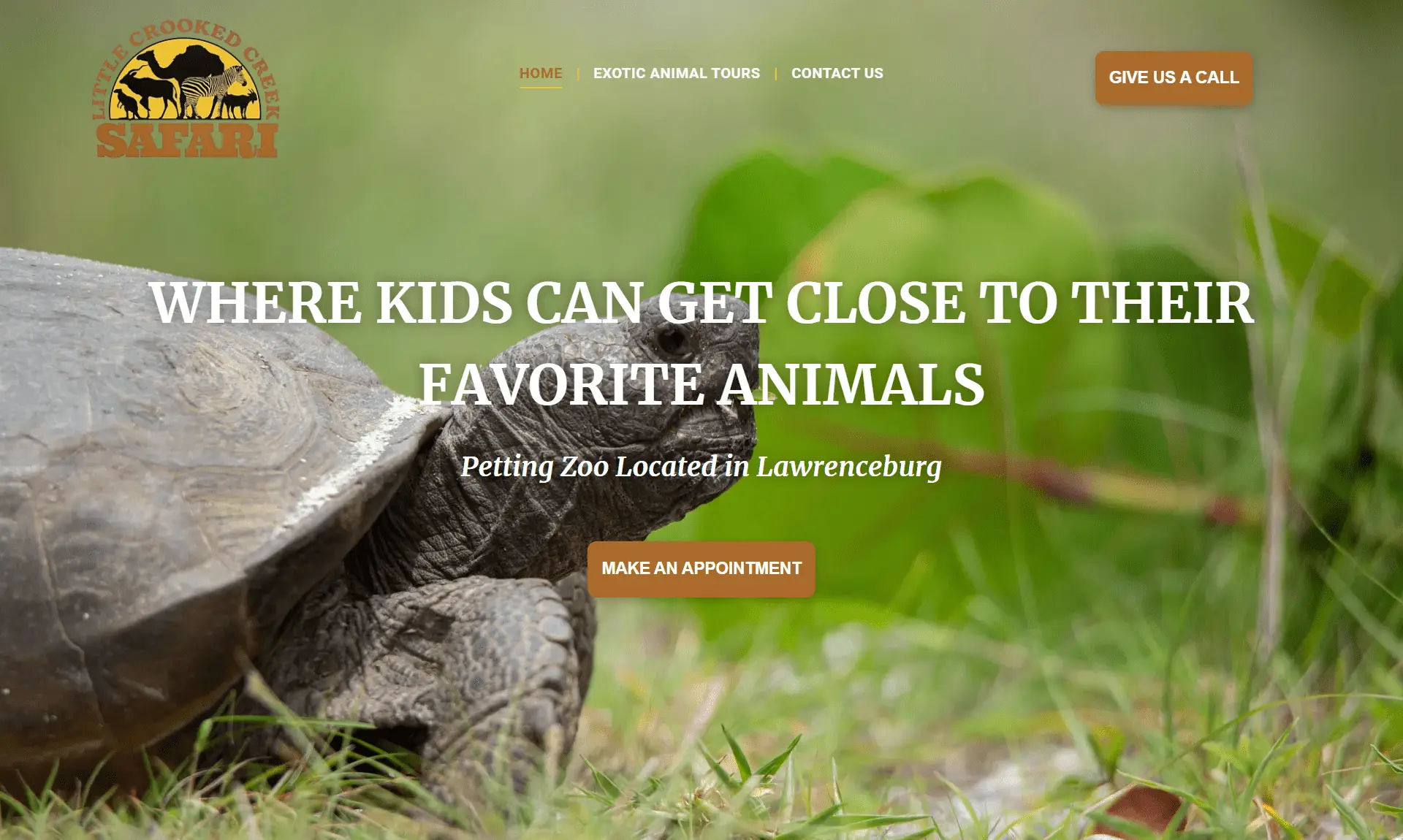 Web Design - Little Crooked Creek Safari thumbnail