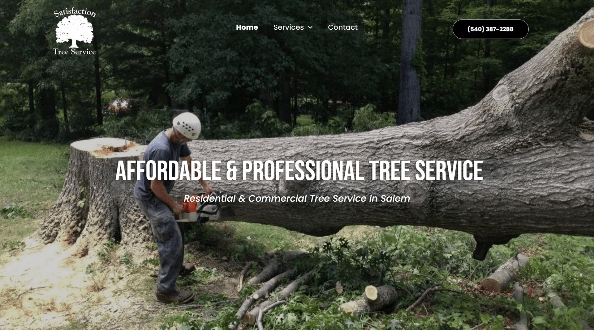 Web Design - Satisfaction Tree Service thumbnail